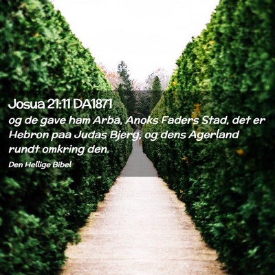 Picture 02 - Josua 21:11 DA1871 - og de gave ham Arba, Anoks Faders Stad, det er - Bible Verse Picture