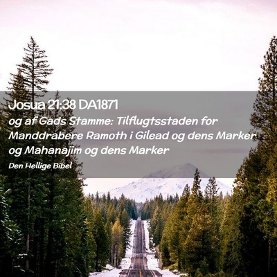 Picture 02 - Josua 21:38 DA1871 - og af Gads Stamme: Tilflugtsstaden for - Bible Verse Picture
