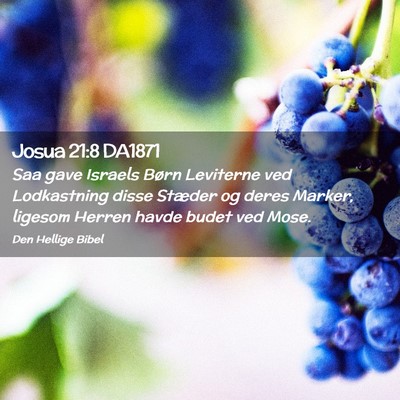 Picture 02 - Josua 21:8 DA1871 - Saa gave Israels Børn Leviterne ved Lodkastning - Bible Verse Picture