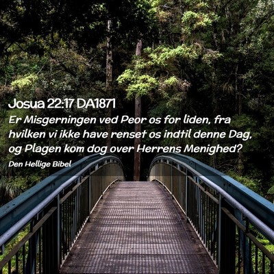 Picture 02 - Josua 22:17 DA1871 - Er Misgerningen ved Peor os for liden, fra - Bible Verse Picture