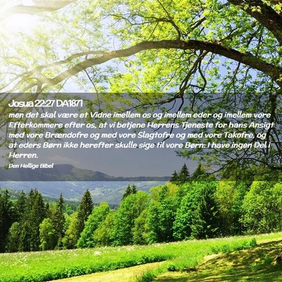 Picture 02 - Josua 22:27 DA1871 - men det skal være et Vidne imellem os og imellem - Bible Verse Picture