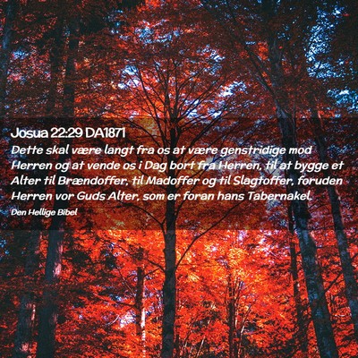 Picture 02 - Josua 22:29 DA1871 - Dette skal være langt fra os at være - Bible Verse Picture