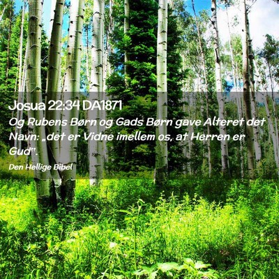 Picture 02 - Josua 22:34 DA1871 - Og Rubens Børn og Gads Børn gave Alteret det - Bible Verse Picture