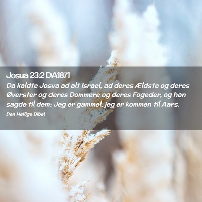 Picture 02 - Josua 23:2 DA1871 - Da kaldte Josva ad alt Israel, ad deres Ældste - Bible Verse Picture