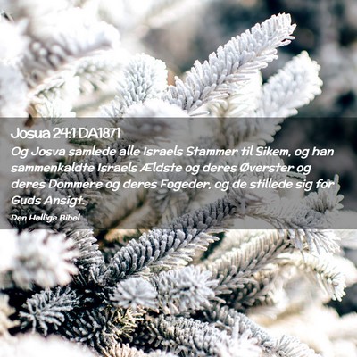 Picture 02 - Josua 24:1 DA1871 - Og Josva samlede alle Israels Stammer til Sikem, - Bible Verse Picture