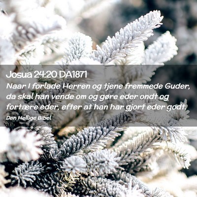 Picture 02 - Josua 24:20 DA1871 - Naar I forlade Herren og tjene fremmede Guder, da - Bible Verse Picture