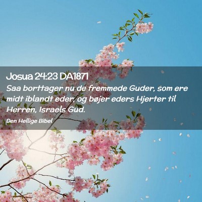 Picture 02 - Josua 24:23 DA1871 - Saa borttager nu de fremmede Guder, som ere midt - Bible Verse Picture