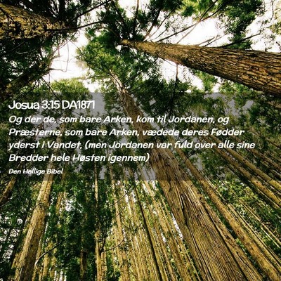 Picture 02 - Josua 3:15 DA1871 - Og der de, som bare Arken, kom til Jordanen, og - Bible Verse Picture