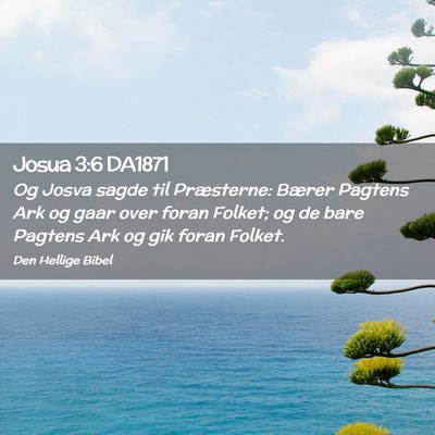 Picture 02 - Josua 3:6 DA1871 - Og Josva sagde til Præsterne: Bærer Pagtens Ark - Bible Verse Picture
