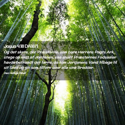 Picture 02 - Josua 4:18 DA1871 - Og det skete, der Præsterne, som bare Herrens - Bible Verse Picture