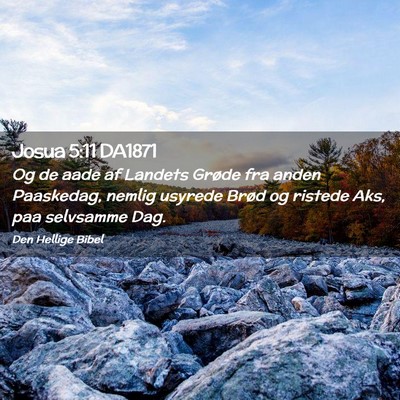 Picture 02 - Josua 5:11 DA1871 - Og de aade af Landets Grøde fra anden Paaskedag, - Bible Verse Picture