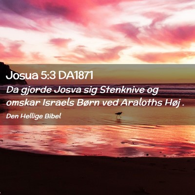 Picture 02 - Josua 5:3 DA1871 - Da gjorde Josva sig Stenknive og omskar Israels - Bible Verse Picture