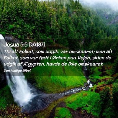 Picture 02 - Josua 5:5 DA1871 - Thi alt Folket, som udgik, var omskaaret; men alt - Bible Verse Picture
