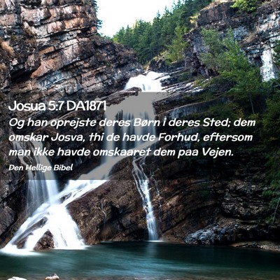 Picture 02 - Josua 5:7 DA1871 - Og han oprejste deres Børn i deres Sted; dem - Bible Verse Picture