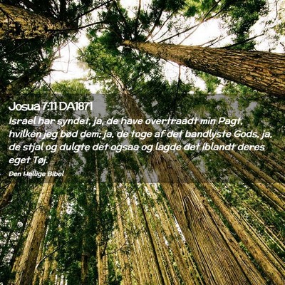 Picture 02 - Josua 7:11 DA1871 - Israel har syndet, ja, de have overtraadt min - Bible Verse Picture
