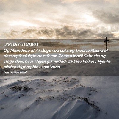 Picture 02 - Josua 7:5 DA1871 - Og Mændene af Ai sloge ved seks og tredive Mænd - Bible Verse Picture