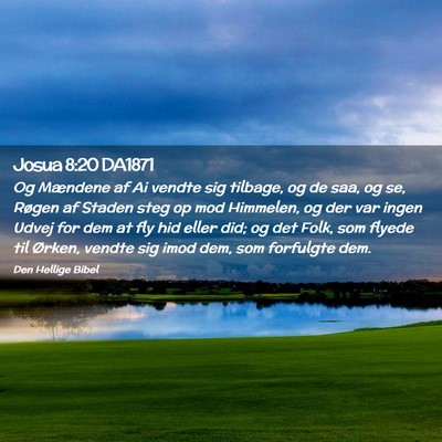 Picture 02 - Josua 8:20 DA1871 - Og Mændene af Ai vendte sig tilbage, og de saa, - Bible Verse Picture