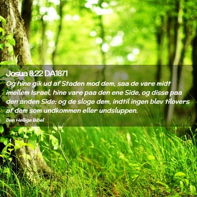 Picture 02 - Josua 8:22 DA1871 - Og hine gik ud af Staden mod dem, saa de vare - Bible Verse Picture