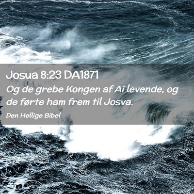 Picture 02 - Josua 8:23 DA1871 - Og de grebe Kongen af Ai levende, og de førte - Bible Verse Picture