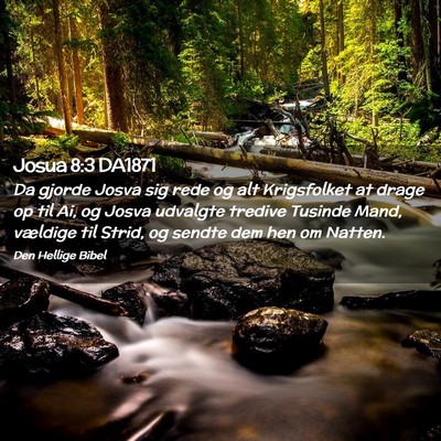 Picture 02 - Josua 8:3 DA1871 - Da gjorde Josva sig rede og alt Krigsfolket at - Bible Verse Picture