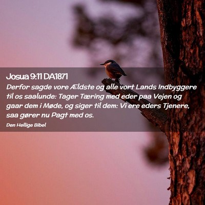 Picture 02 - Josua 9:11 DA1871 - Derfor sagde vore Ældste og alle vort Lands - Bible Verse Picture