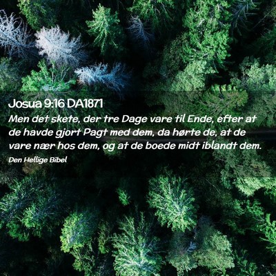 Picture 02 - Josua 9:16 DA1871 - Men det skete, der tre Dage vare til Ende, efter - Bible Verse Picture