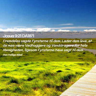 Picture 02 - Josua 9:21 DA1871 - Fremdeles sagde Fyrsterne til dem: Lader dem - Bible Verse Picture