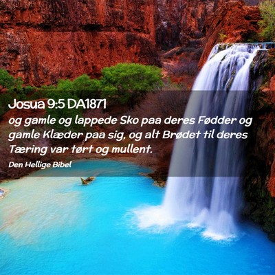 Picture 02 - Josua 9:5 DA1871 - og gamle og lappede Sko paa deres Fødder og - Bible Verse Picture