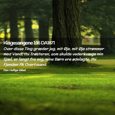 Picture 02 - Klagesangene 1:16 DA1871 - Over disse Ting græder jeg, mit Øje, mit Øje - Bible Verse Picture