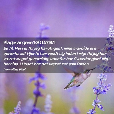 Picture 02 - Klagesangene 1:20 DA1871 - Se til, Herre! thi jeg har Angest, mine Indvolde - Bible Verse Picture