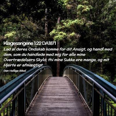 Picture 02 - Klagesangene 1:22 DA1871 - Lad al deres Ondskab komme for dit Ansigt, og - Bible Verse Picture