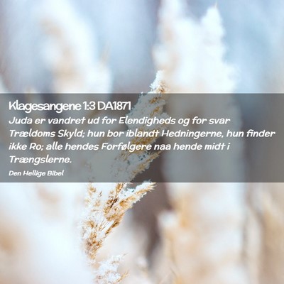 Picture 02 - Klagesangene 1:3 DA1871 - Juda er vandret ud for Elendigheds og for svar - Bible Verse Picture