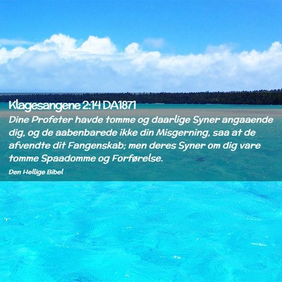 Picture 02 - Klagesangene 2:14 DA1871 - Dine Profeter havde tomme og daarlige Syner - Bible Verse Picture