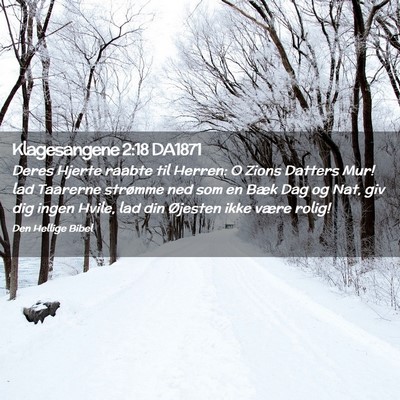 Picture 02 - Klagesangene 2:18 DA1871 - Deres Hjerte raabte til Herren: O Zions Datters - Bible Verse Picture