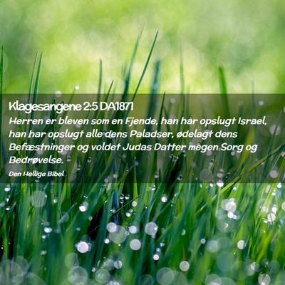 Picture 02 - Klagesangene 2:5 DA1871 - Herren er bleven som en Fjende, han har opslugt - Bible Verse Picture