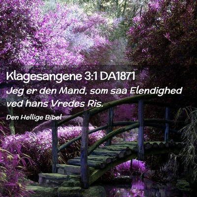 Picture 02 - Klagesangene 3:1 DA1871 - Jeg er den Mand, som saa Elendighed ved hans - Bible Verse Picture