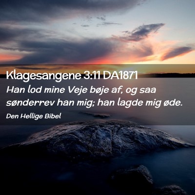 Picture 02 - Klagesangene 3:11 DA1871 - Han lod mine Veje bøje af, og saa sønderrev han - Bible Verse Picture