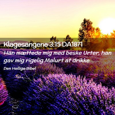 Picture 02 - Klagesangene 3:15 DA1871 - Han mættede mig med beske Urter, han gav mig - Bible Verse Picture