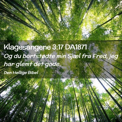 Picture 02 - Klagesangene 3:17 DA1871 - Og du bortstødte min Sjæl fra Fred, jeg har - Bible Verse Picture