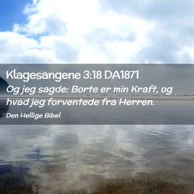 Picture 02 - Klagesangene 3:18 DA1871 - Og jeg sagde: Borte er min Kraft, og hvad jeg - Bible Verse Picture