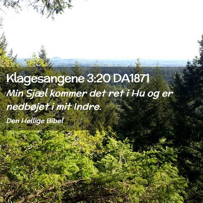 Picture 02 - Klagesangene 3:20 DA1871 - Min Sjæl kommer det ret i Hu og er nedbøjet i - Bible Verse Picture