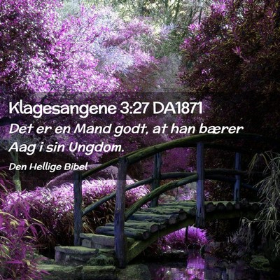 Picture 02 - Klagesangene 3:27 DA1871 - Det er en Mand godt, at han bærer Aag i sin - Bible Verse Picture