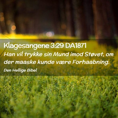 Picture 02 - Klagesangene 3:29 DA1871 - Han vil trykke sin Mund imod Støvet, om der - Bible Verse Picture