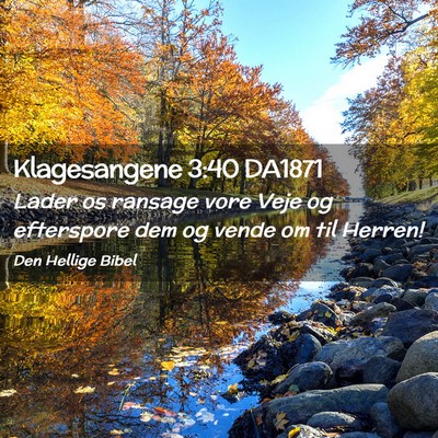 Picture 02 - Klagesangene 3:40 DA1871 - Lader os ransage vore Veje og efterspore dem og - Bible Verse Picture