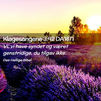 Picture 02 - Klagesangene 3:42 DA1871 - Vi, vi have syndet og været genstridige, du - Bible Verse Picture
