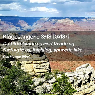Picture 02 - Klagesangene 3:43 DA1871 - Du tildækkede os med Vrede og forfulgte os, - Bible Verse Picture
