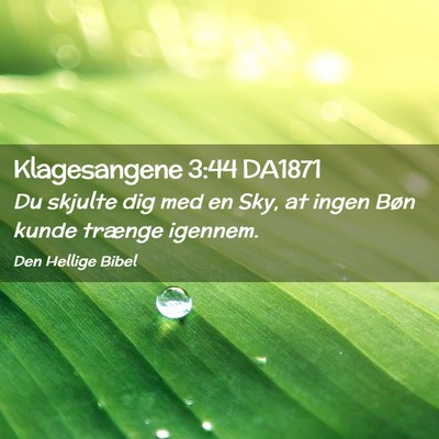Picture 02 - Klagesangene 3:44 DA1871 - Du skjulte dig med en Sky, at ingen Bøn kunde - Bible Verse Picture