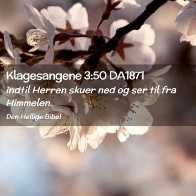 Picture 02 - Klagesangene 3:50 DA1871 - indtil Herren skuer ned og ser til fra - Bible Verse Picture