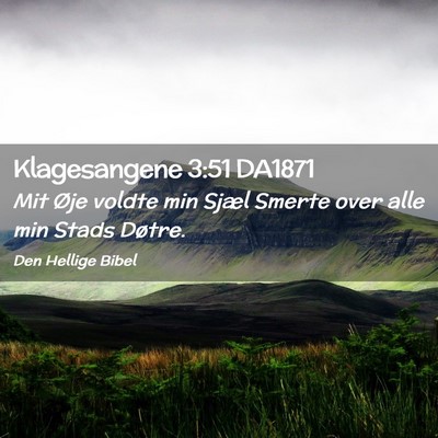 Picture 02 - Klagesangene 3:51 DA1871 - Mit Øje voldte min Sjæl Smerte over alle min - Bible Verse Picture