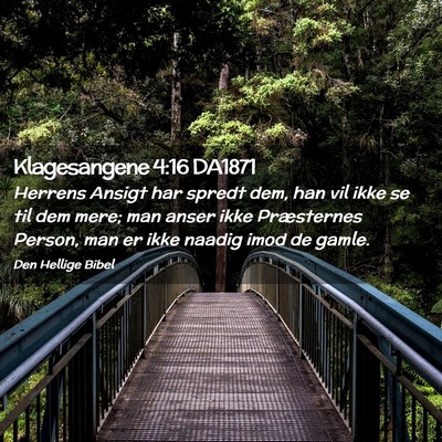 Picture 02 - Klagesangene 4:16 DA1871 - Herrens Ansigt har spredt dem, han vil ikke se - Bible Verse Picture